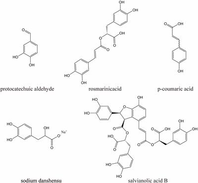Frontiers | Neuroprotective Effect of Danhong Injection on 